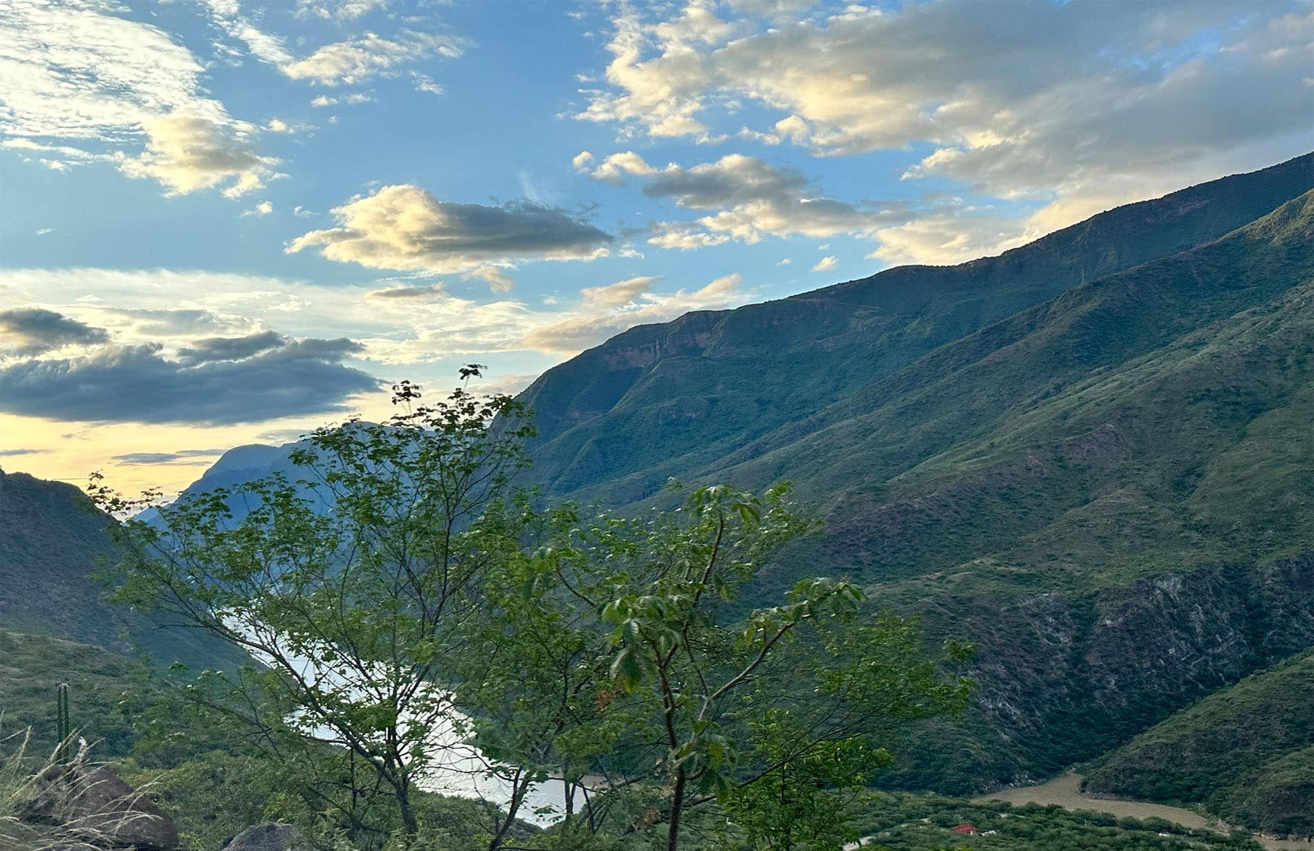 1_0010_IMG_3242 Eco-Retreat Colombia - picture of the area where the building will be constructed